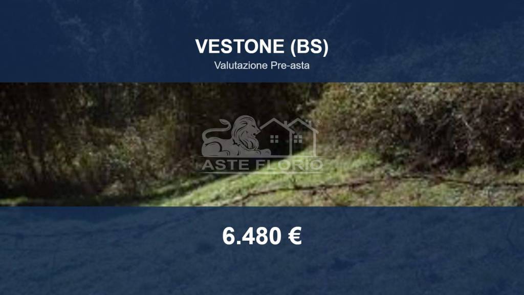 terreno agricolo in vendita a Vestone