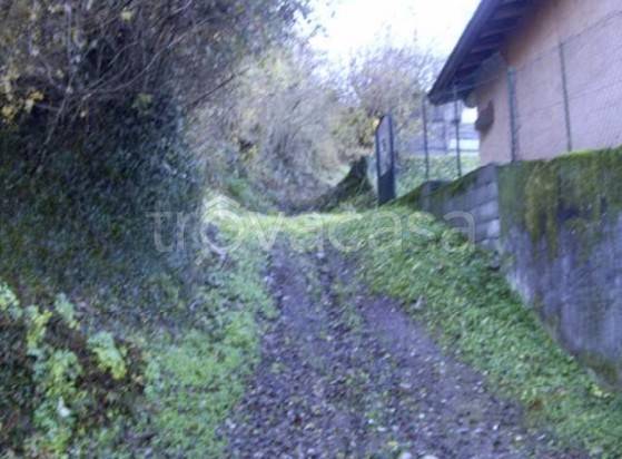 terreno agricolo in vendita a Vestone