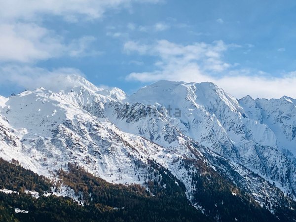 appartamento in vendita a Vezza d'Oglio