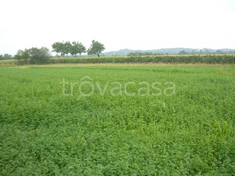 terreno agricolo in vendita a Villa Carcina in zona Carcina