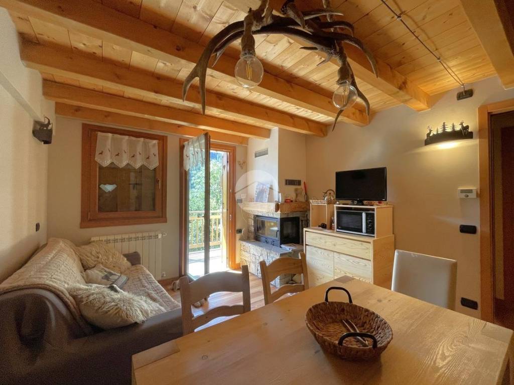 appartamento in vendita a Vione