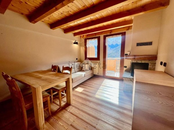 appartamento in vendita a Vione