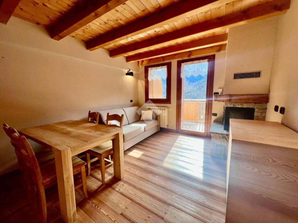 appartamento in vendita a Vione