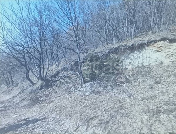 terreno agricolo in vendita a Vobarno in zona Degagna