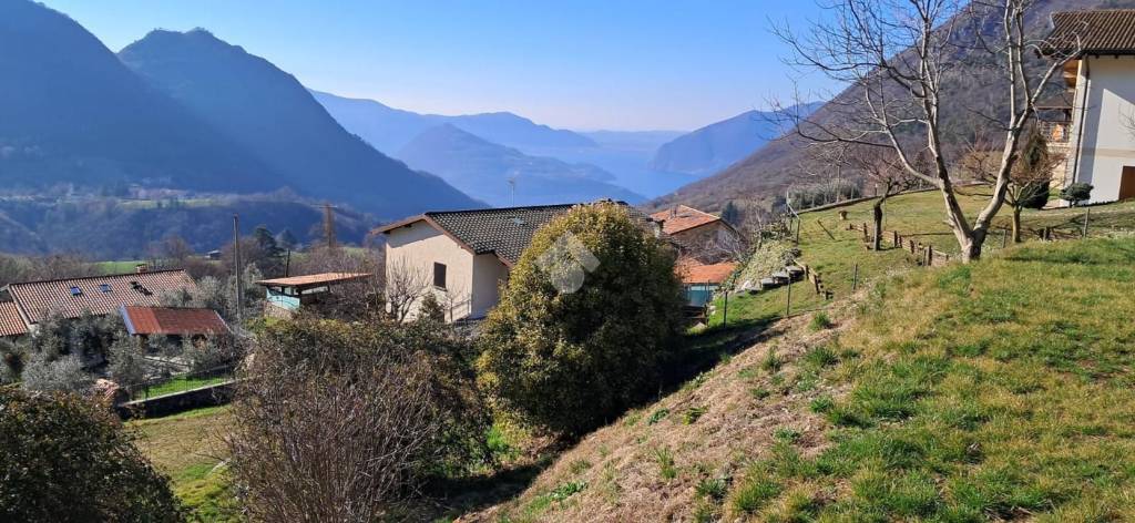 immagine annuncio 0 di 8