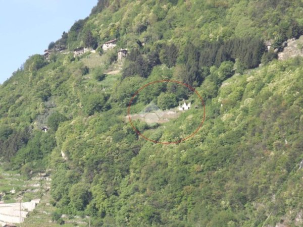 terreno agricolo in vendita a Piancogno in zona Piamborno