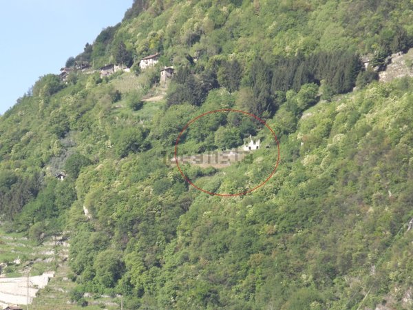 appartamento in vendita a Piancogno