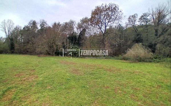 terreno agricolo in vendita a Chiaverano