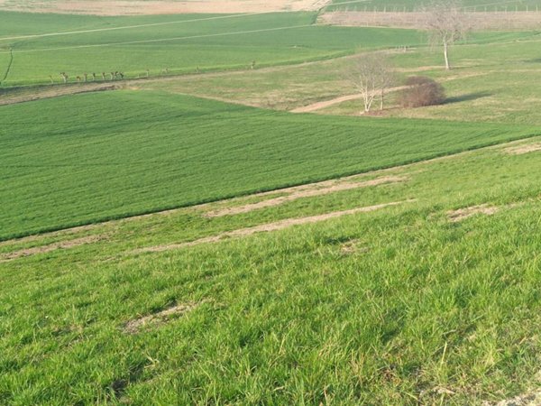 terreno agricolo in vendita a Chieri in zona Roaschia
