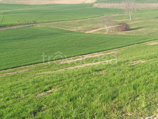 terreno agricolo in vendita a Chieri