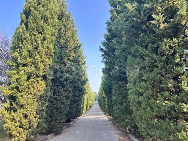 casa indipendente in vendita a Chieri