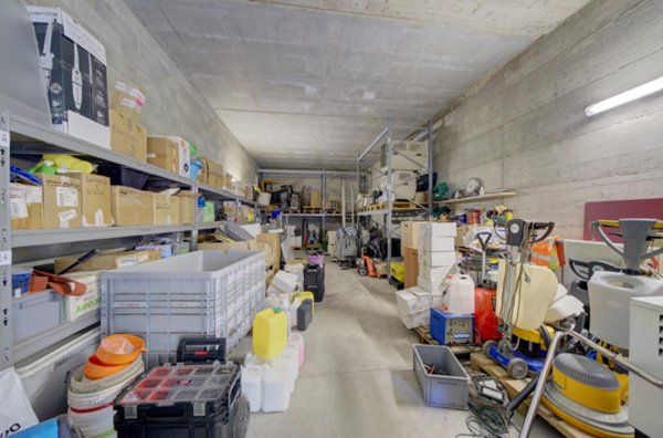 immagine annuncio 0 di 8