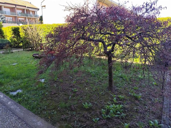 casa indipendente in vendita a Chieri in zona Roaschia