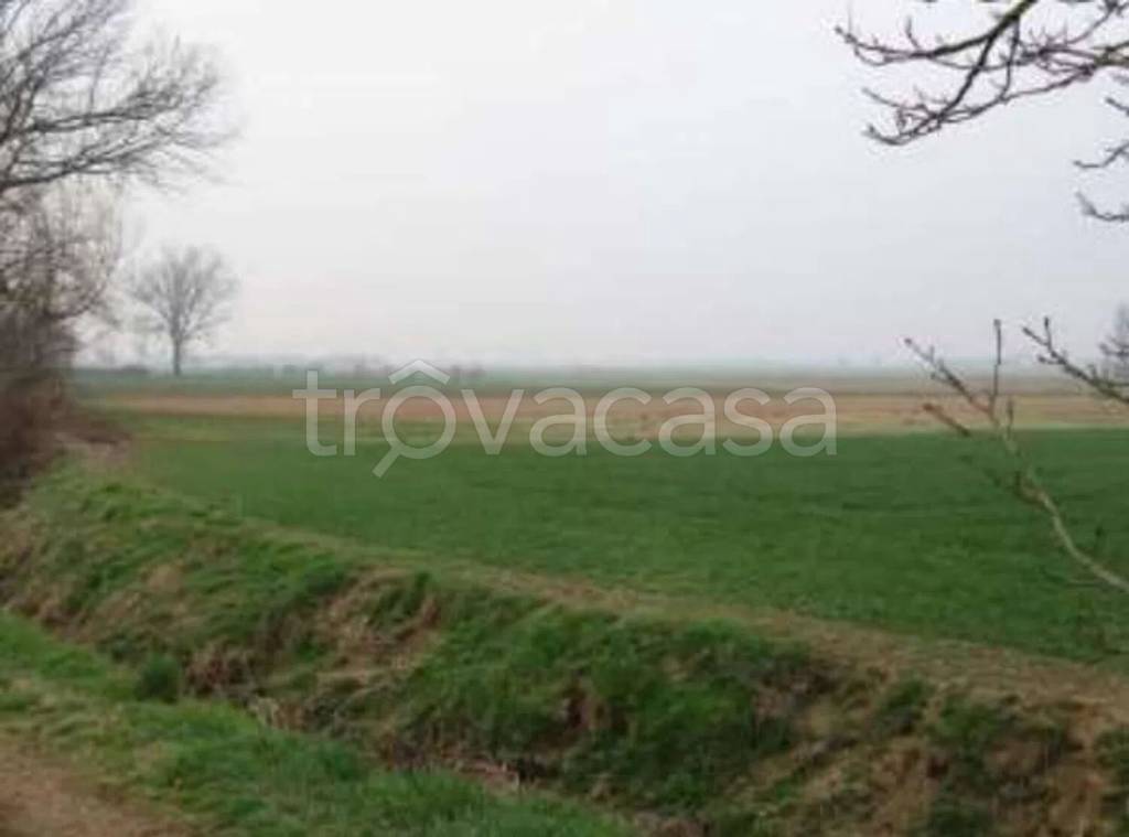 terreno agricolo in vendita a Chieri