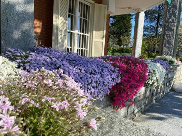 casa indipendente in vendita a Chieri