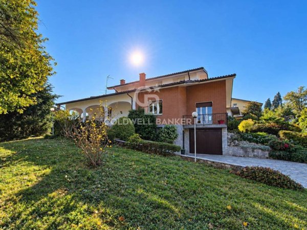 immagine annuncio 0 di 15