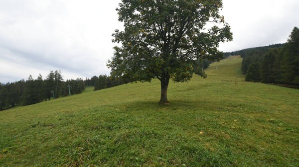 appartamento in vendita a Chiomonte in zona Frais