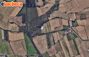 terreno agricolo in vendita a Chivasso in zona Castelrosso