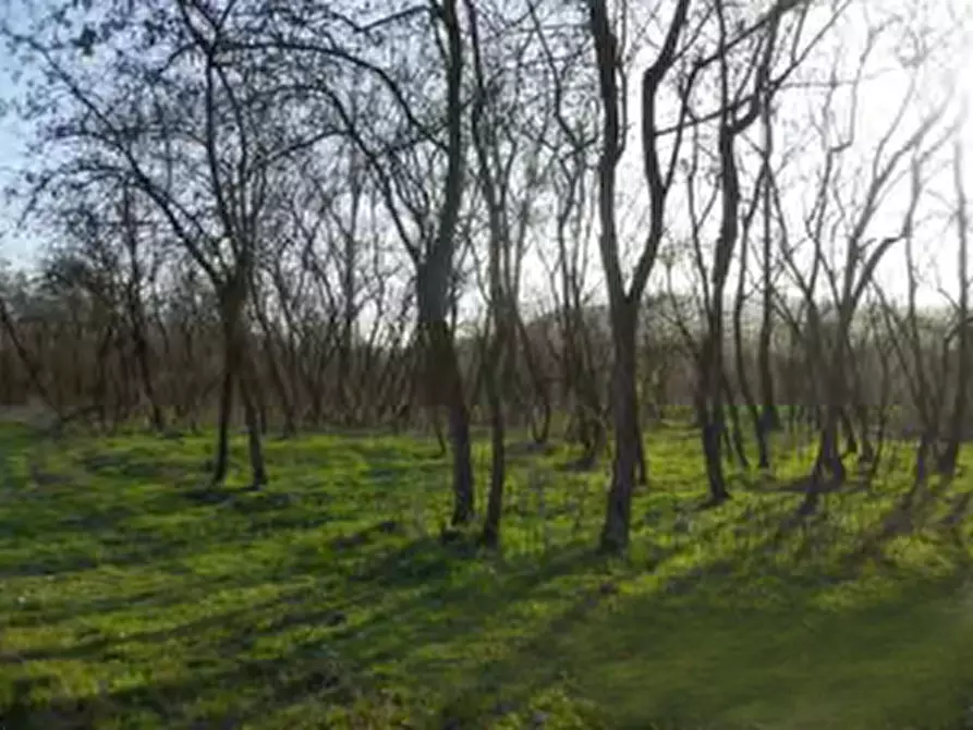 terreno agricolo in vendita a Chivasso in zona Castelrosso