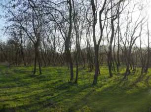terreno agricolo in vendita a Chivasso in zona Castelrosso