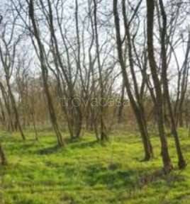 appartamento in vendita a Chivasso in zona Castelrosso