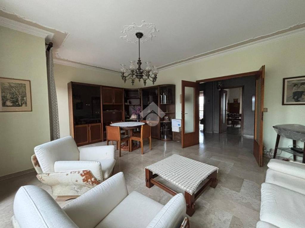 immagine annuncio 0 di 15