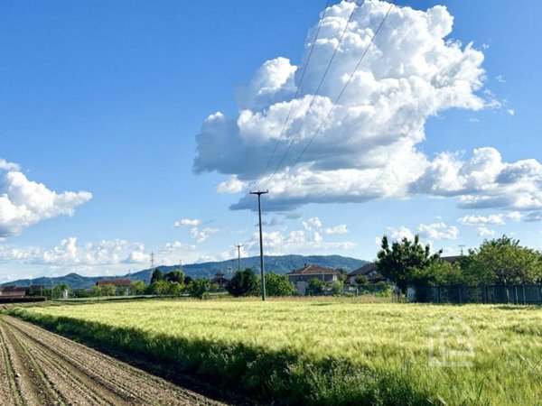 immagine annuncio 0 di 5