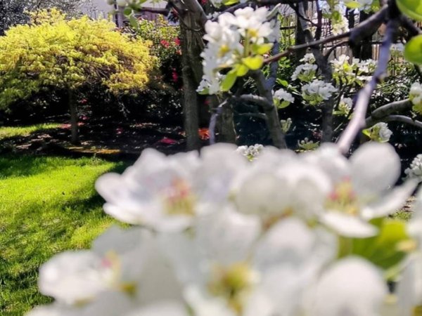 casa indipendente in vendita a Chivasso