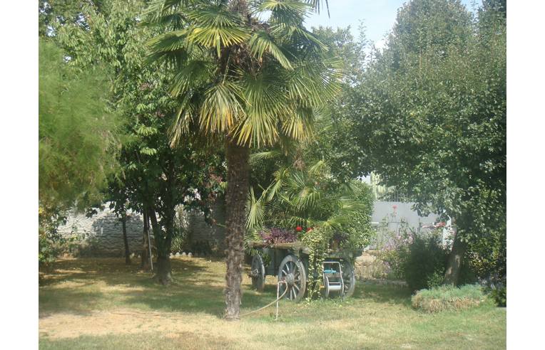 casa indipendente in vendita a Chivasso