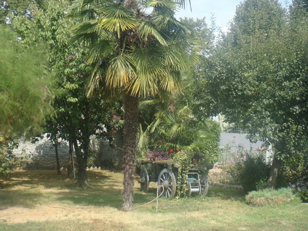 casa indipendente in vendita a Chivasso