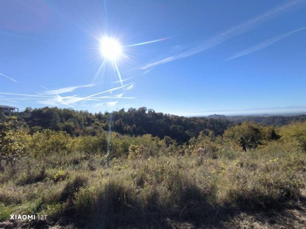 terreno agricolo in vendita a Cinzano