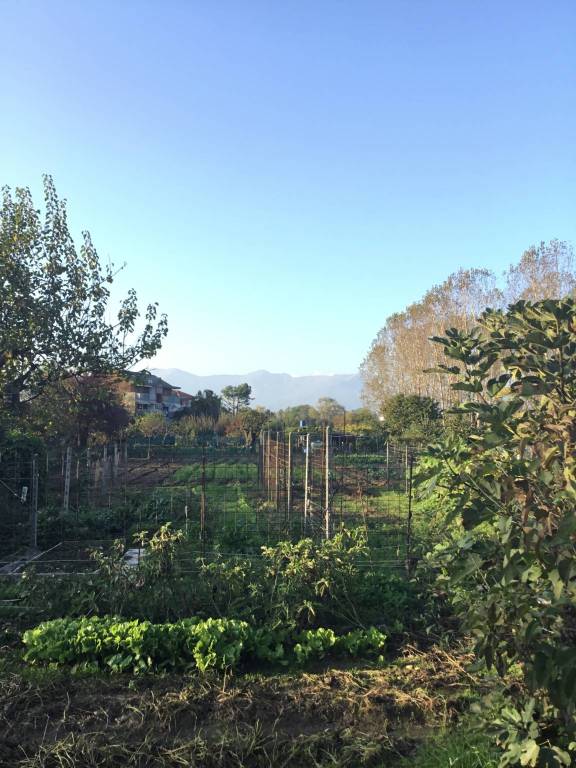 terreno agricolo in vendita a Ciriè