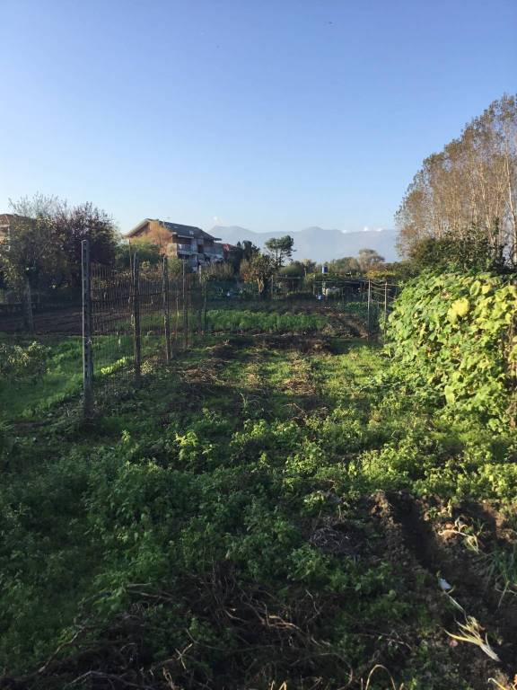 terreno agricolo in vendita a Ciriè