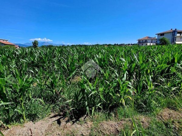 terreno agricolo in vendita a Ciriè