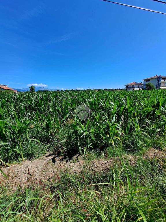 terreno agricolo in vendita a Ciriè