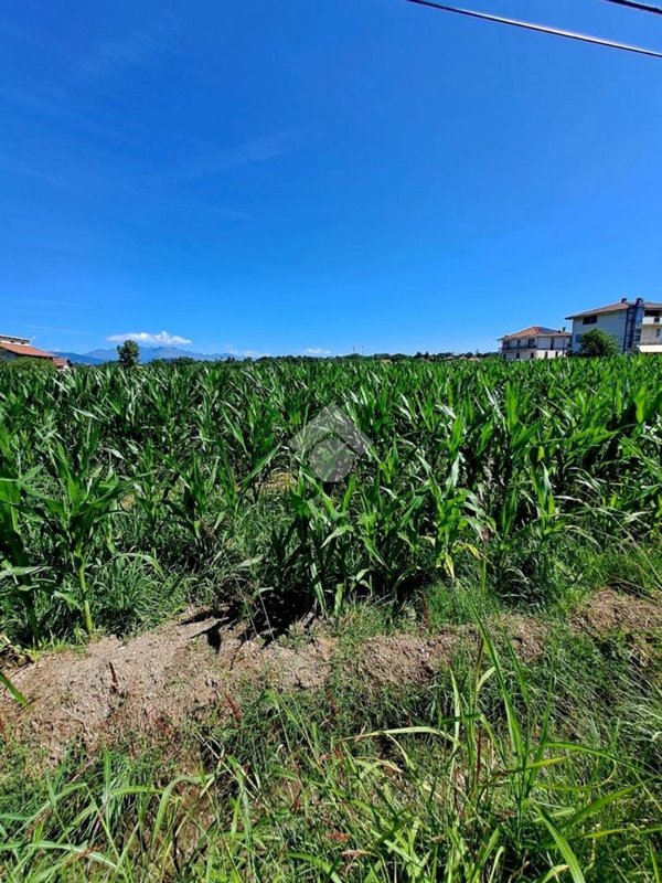 casa indipendente in vendita a Ciriè
