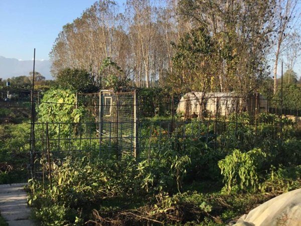 terreno agricolo in vendita a Ciriè