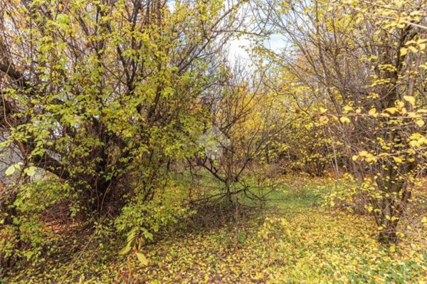 terreno agricolo in vendita a Ciriè