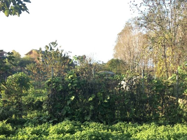 terreno agricolo in vendita a Ciriè