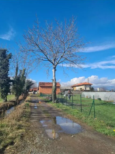 casa indipendente in vendita a Ciriè in zona Devesi