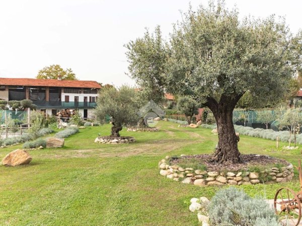 casa indipendente in vendita a Ciriè in zona Devesi