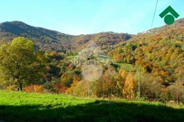 quadrivano in vendita a Coassolo Torinese