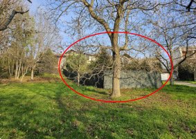 casa indipendente in vendita a Coassolo Torinese