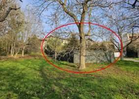 casa indipendente in vendita a Coassolo Torinese
