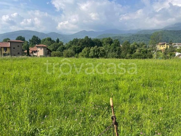 terreno agricolo in vendita a Coazze