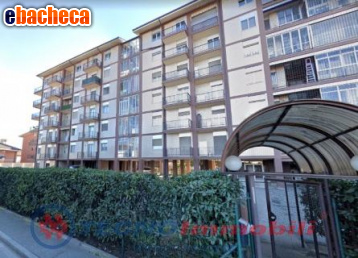 appartamento in vendita a Collegno