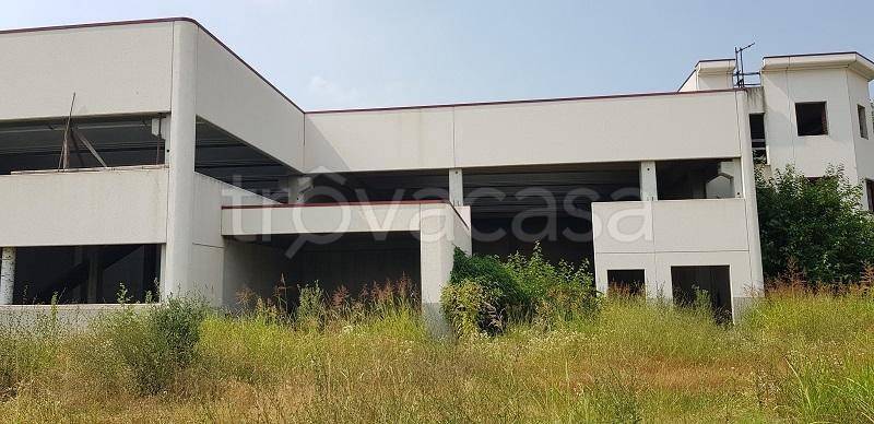 terreno edificabile in vendita a Collegno in zona Savonera