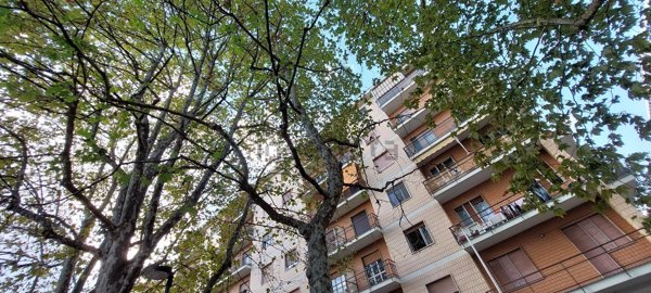 appartamento in vendita a Collegno