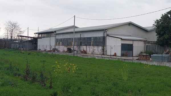 capannone in vendita a Collegno