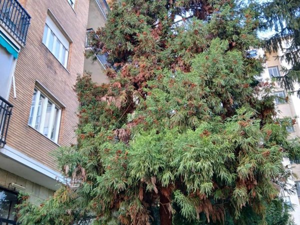 appartamento in vendita a Collegno